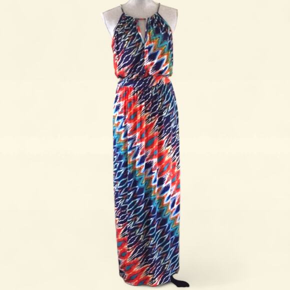 Bisou Bisou Dresses & Skirts - Bisou Bisou Maxi Halter Dress in Multi-Color Print